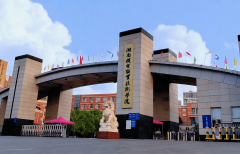 A2：专业取名企高